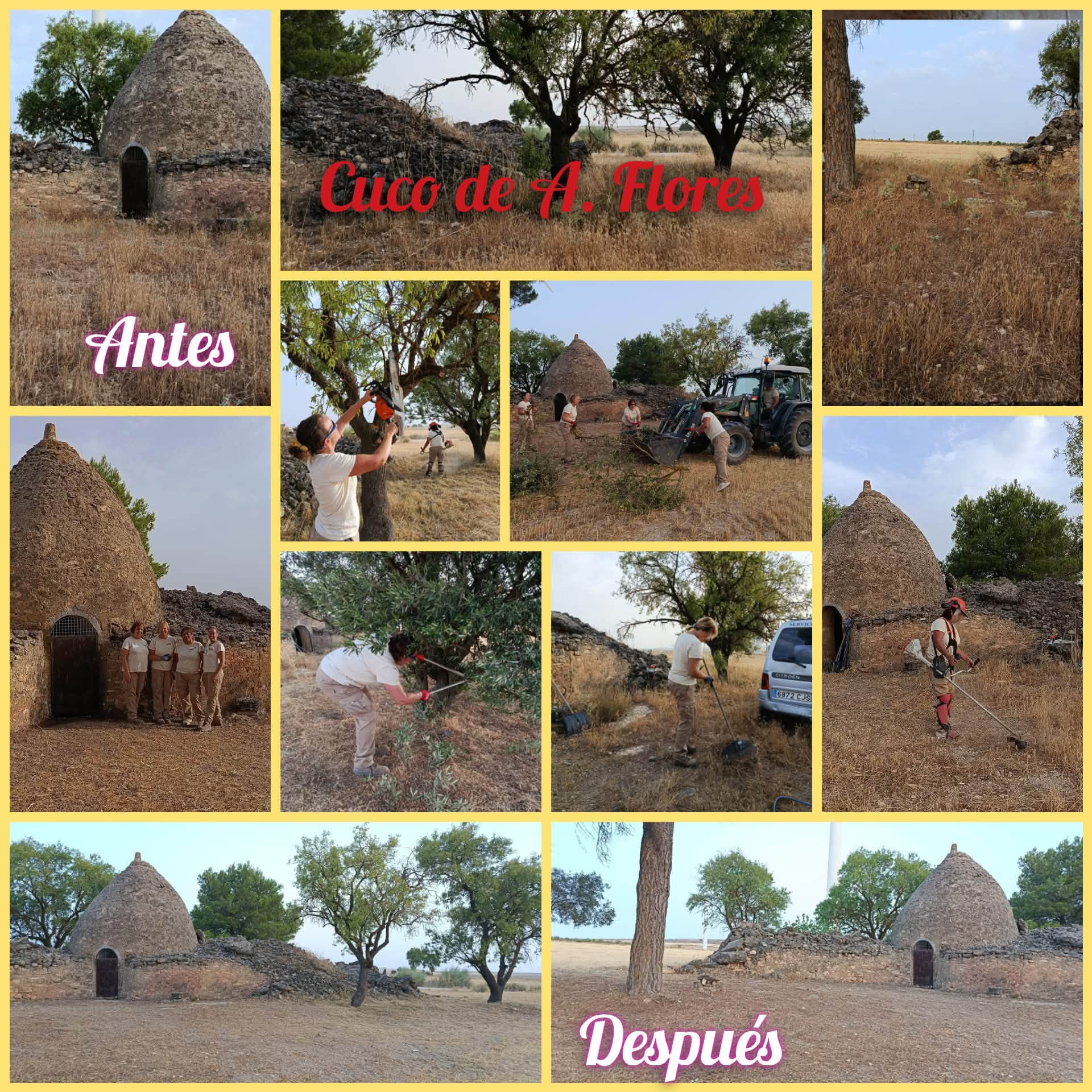 Imagen 1