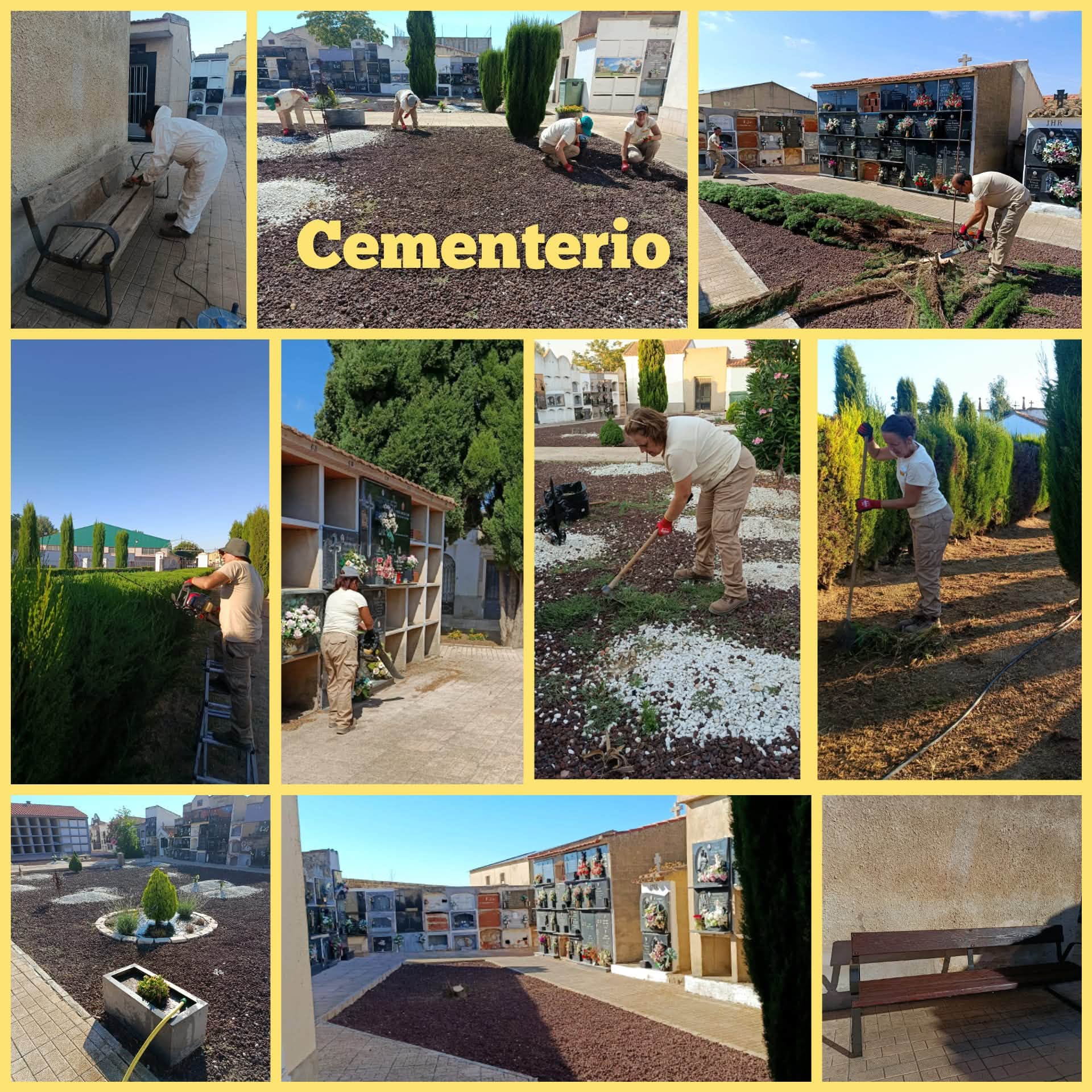 Imagen 2