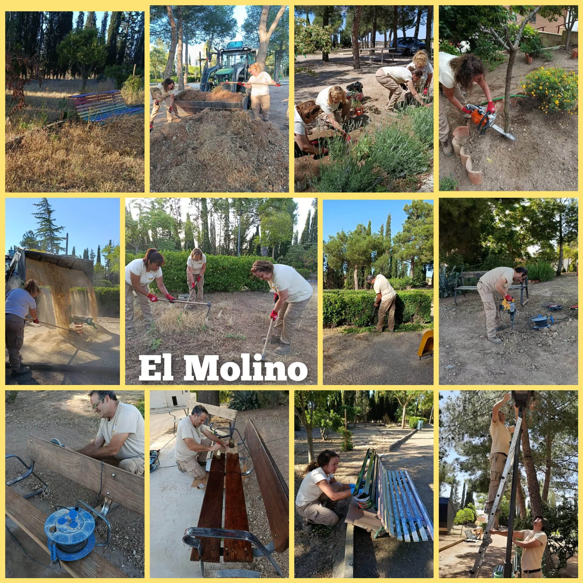 Imagen 2