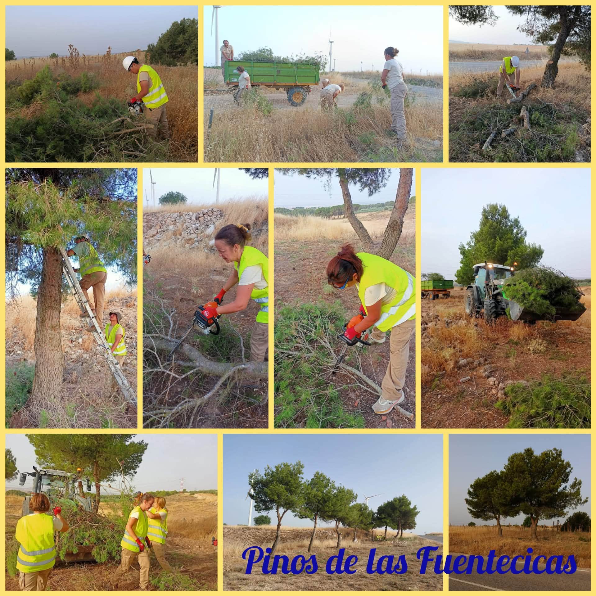 Imagen 2