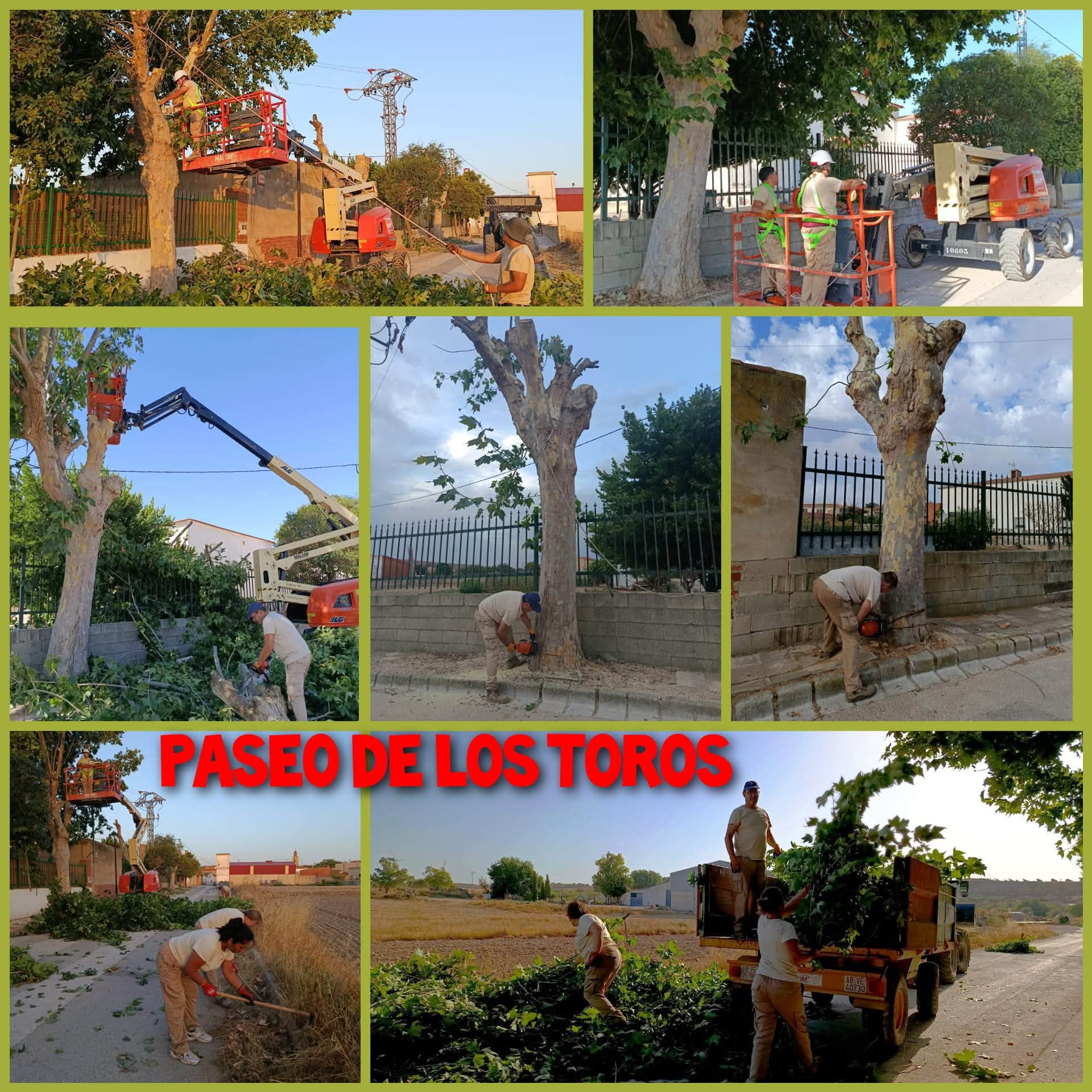 Imagen 3