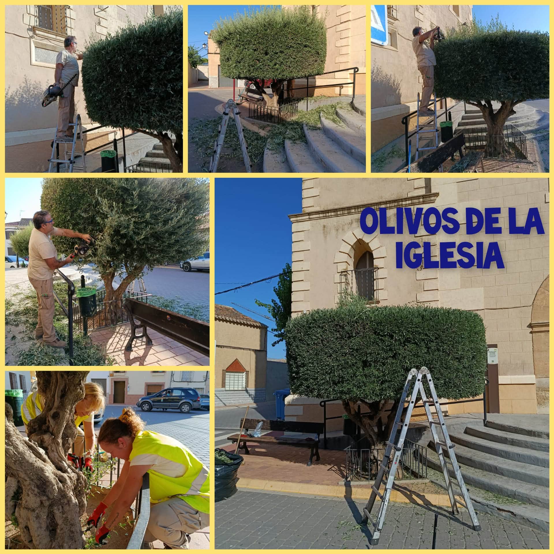 Imagen 4