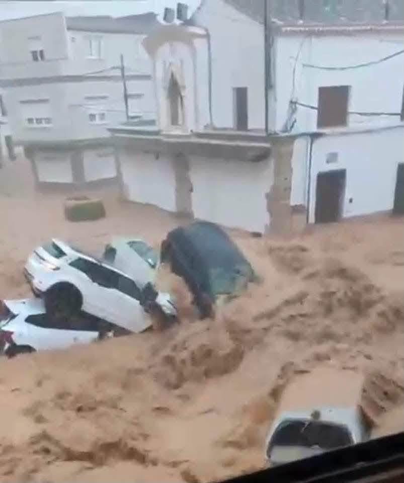 Imagen 3